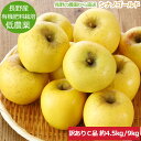 【全額返金】11月分予約 訳あり 減農薬 長野 小玉 シナノゴールド りんご 約4.5~9kg 8~50個入 C品 リンゴ 林檎 産地直送 小山 SSS※ ふるさと納税 ではありません