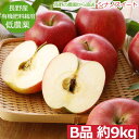 【全額返金】10月分予約 減農薬 シナノスイート りんご B品 約9kg 16?50個入 長野産リンゴ 林檎 産地直送 小山 ※ ふるさと納税 ではありません SSS