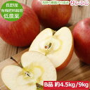 【全額返金】12月分予約 減農薬 サンふじ りんご B品 約4. 5?9kg 12?46個入 長野 リンゴ 林檎 さんふじ サンフジ 小山 産地直送 SSS※ ふるさと納税 ではありません お歳暮