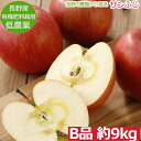 【全額返金】12月分予約 減農薬 サンふじ りんご B品 約9kg 24?46個入 長野 リンゴ 林檎 さんふじ サンフジ 小山 産地直送 ※ ふるさと納税 ではありません お歳暮 SSS