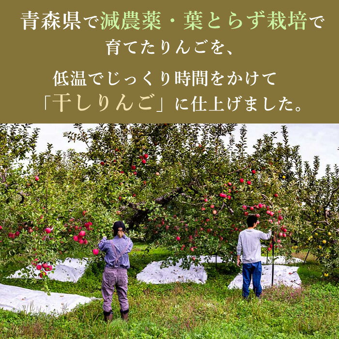 はちまるはち お中元 お歳暮の減農薬 青森産 葉とらず りんご 無添加 干しりんご チップ 20g～80g入 リンゴ 林檎 ふじ シナノゴールド 紅玉 チップス ドライフルーツ SU 3種（発送はメール便）｜アングル3