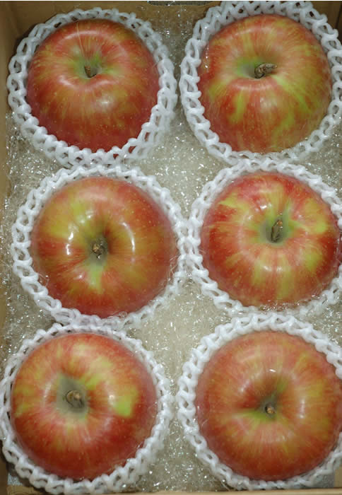りんご サンつがる 特選品質 約2kg 大玉6玉入 りんご リンゴ 林檎 S10