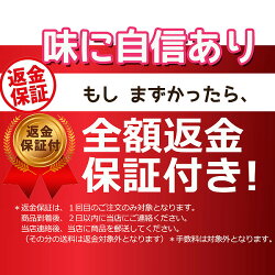 減農薬100%無添加りんごジュース1000ml×6本ストレート長野リンゴジュースギフト紙パックパックジュースアップルジュースフルーツジュース果実ジュース小山母の日父の日3t