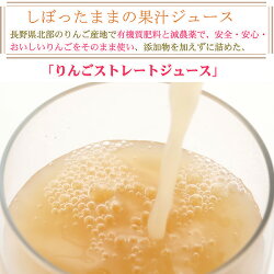 長野減農薬果汁100%無添加りんごジュース1L×6本入ストレート小山産地直送ギフトお中元