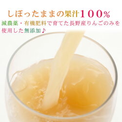 減農薬100%無添加りんごジュース1000ml×6本ストレート長野リンゴジュースギフト紙パックパックジュースアップルジュースフルーツジュース果実ジュース小山母の日父の日3t