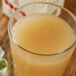 減農薬100%無添加りんごジュース1000ml×6本ストレート長野リンゴジュースギフト紙パックパックジュースアップルジュースフルーツジュース果実ジュース小山母の日父の日3t