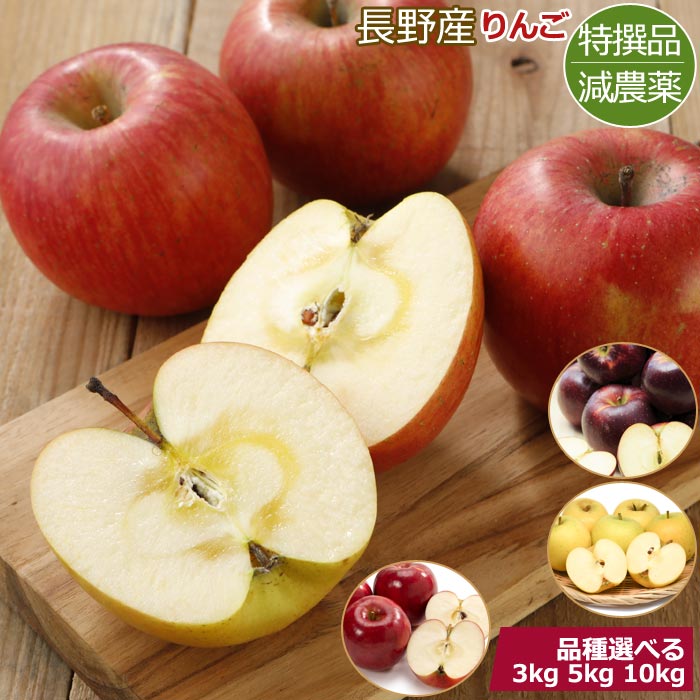 減農薬長野産りんご約3kg5kg1...