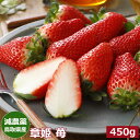 2026年分予約 減農薬 鳥取県産 章姫 苺 いちご 贈答用 大粒 450g〜900g 化粧箱入 産地直送 SSS ※ ふるさと納税 ではありません