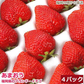 低農薬 福岡 あまおう 苺 いちご 小粒 4パック 1kg 80粒前後 産地直送 苺 イチゴ SSS ama