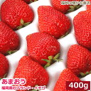 いちご 2025年1月分予約 低農薬 福岡 あまおう 苺 いちご 贈答用 400g 大粒12～18玉 化粧箱入 産地直送 SSS