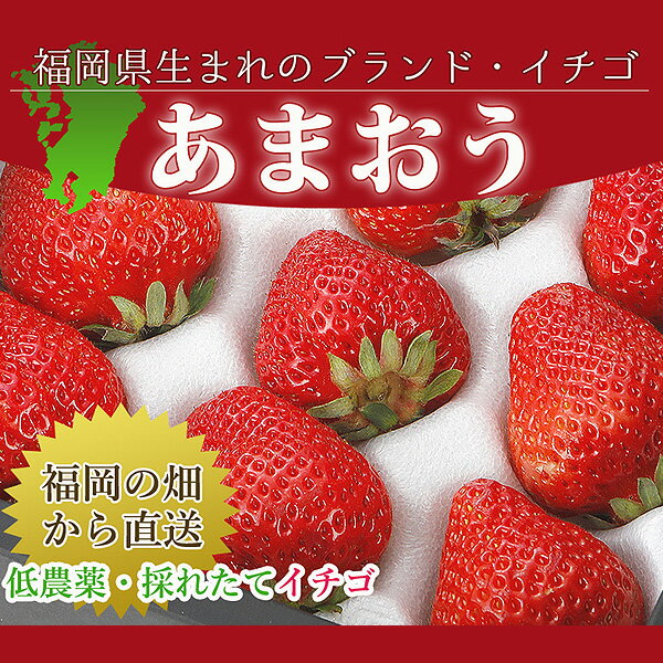 2025年1月分予約 低農薬 福岡 あまおう 苺 いちご 贈答用 400g 大粒12～18玉 化粧箱入 産地直送 SSS 2