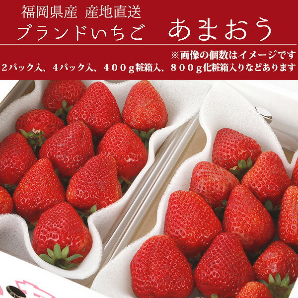 2025年1月分予約 低農薬 福岡 あまおう 苺 いちご 贈答用 400g 大粒12～18玉 化粧箱入 産地直送 SSS 3