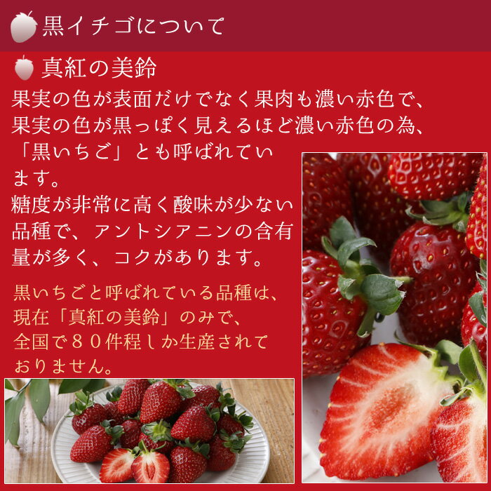 減農薬 愛媛産 黒 いちご 真紅の美鈴 400~800g 12〜36粒 化粧箱入 苺 イチゴ 産地直送 SSS お歳暮 ※ ふるさと納税 ではありません