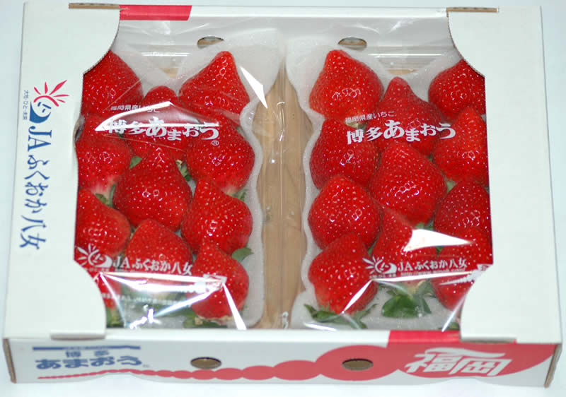 サンプル画像2