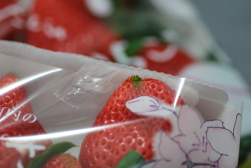 徳島県産 さくらももいちご 1パック 220g入 家庭用 訳あり いちご 苺 イチゴ