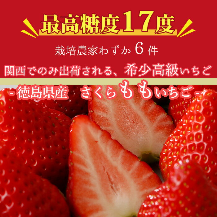 徳島産 さくらももいちご 4パック 約880g入 お歳暮 ※ ふるさと納税 ではありません