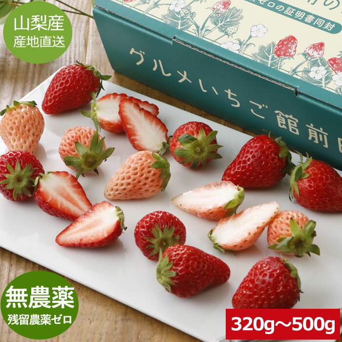 12月分予約 無農薬 苺 いちご 320g～500g 紅ほっぺ かおり野 章姫 スターナイト おいC ...
