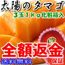 【100円OFFクーポン対象】 太陽のタマゴ 2L 3玉 約...