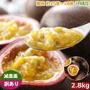 2026年3月分予約 【最高糖度18度】減農薬 訳あり パッションフルーツ 2.8kg 沖縄産 産地直送 ※ ふるさと納税 ではありません