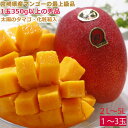 全額返金保証 マンゴー 太陽のタマゴ 宮崎マンゴー 1〜3玉 2L〜5L 約350g〜1.2kg 化粧箱入 太陽の卵 太陽のたまご ギフト 宮崎県 完熟 完熟マ...