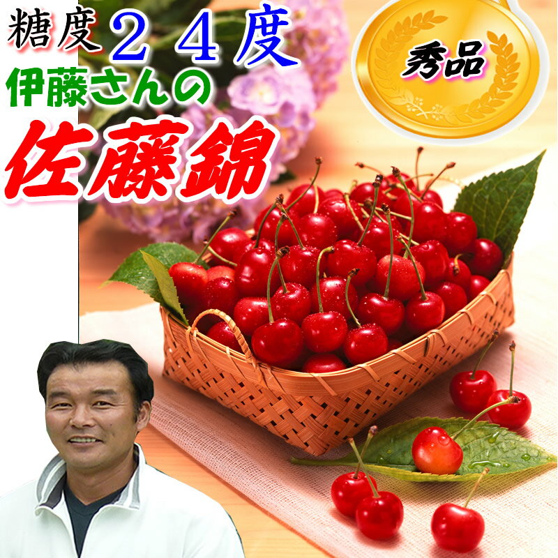 糖度24度 減農薬 山形 佐藤錦 さくらんぼ 1kg バラ詰め化粧箱入 Lサイズ 贈答用 サクランボ 産地直送