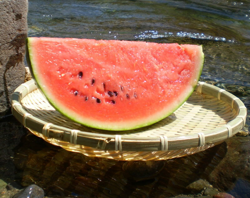7月分予約 山形県尾花沢 すいか 2Lサイズ 1玉 7kg スイカ 西瓜 尾花沢すいか 尾花沢スイカ 7s ※ ふるさと納税 ではありません S10