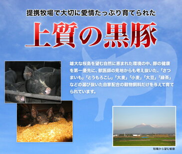 鹿児島 黒豚 バラ 切り落とし 400g 豚肉 ギフト 産地直送