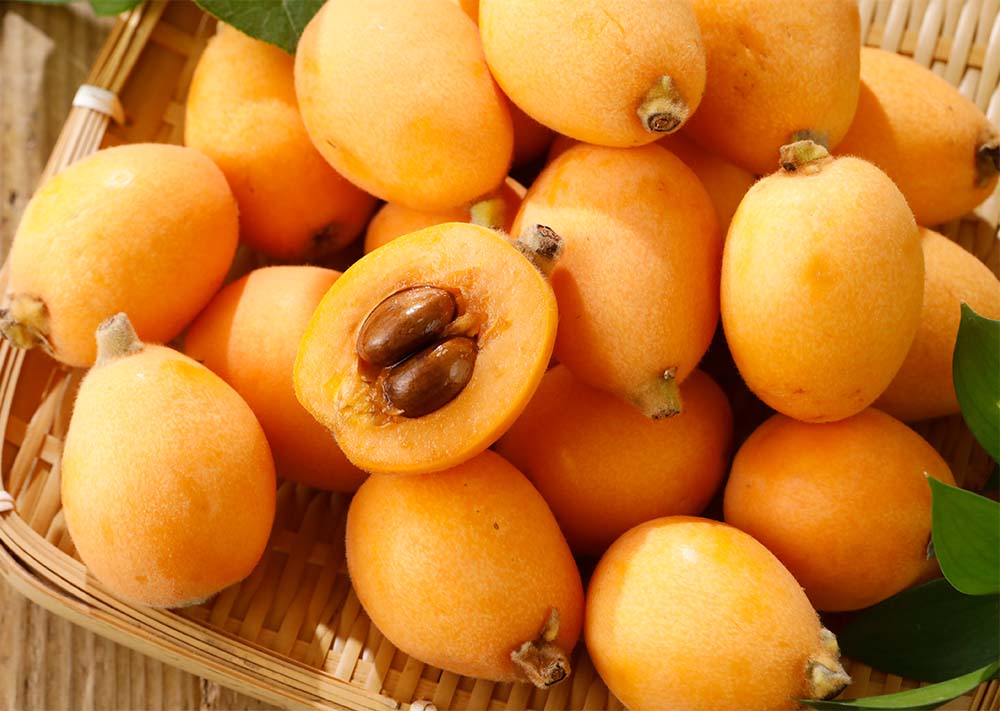 無農薬 房州 びわ L ? 4L サイズ 1kg ?5kg 入 千葉産 枇杷 ビワ 露地栽培 産地直送 SU