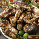 【全額返金】10月分予約 訳あり 国産 松茸 300g 〜1kg 前後 まつたけ マツタケ 岡山 国産 産地直送 まつたけ 土瓶蒸し 松茸 訳あり マツタケ お...