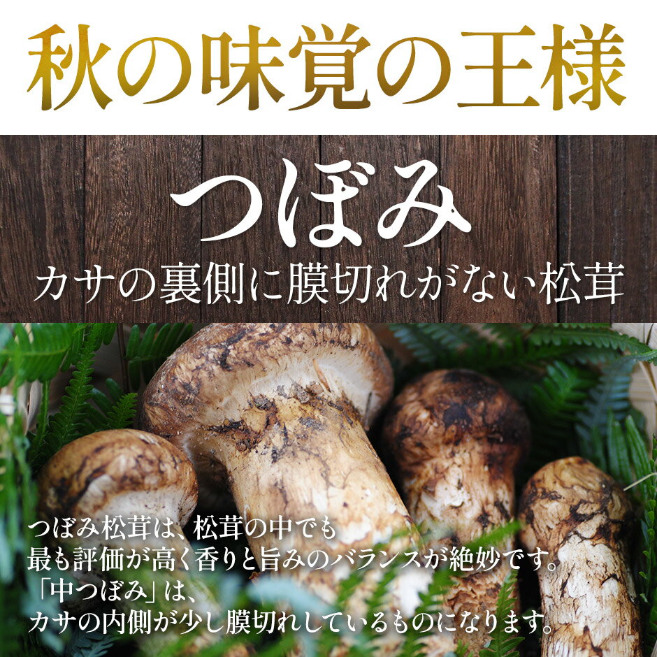 松茸 国産 中つぼみ(半開き) 約300g ま...の紹介画像3