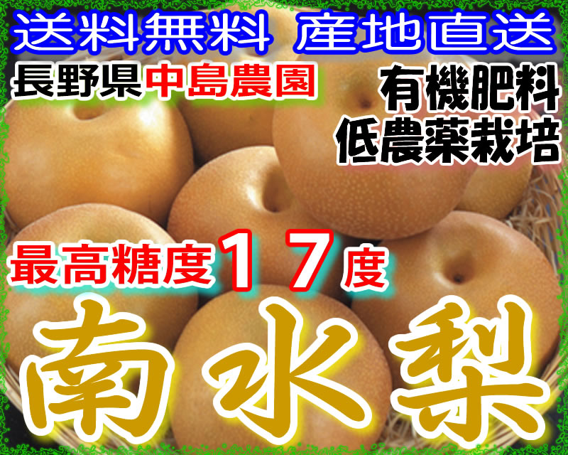訳あり 最高糖度17度 梨 長野 減農薬 南水梨 約9キロ 24～30個入 南水 産地直送 SSS 9g