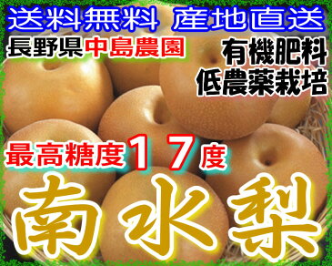 訳あり 最高糖度17度 梨 長野 減農薬 南水梨 約9キロ 24〜30個入 南水 産地直送 SSS