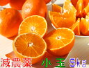 12月分予約 減農薬 紅まどんな と同品種 みかん あいか 約5kg 小玉サイズ 愛媛 産地直送 大三島 お歳暮 ※ ふるさと納税 ではありません