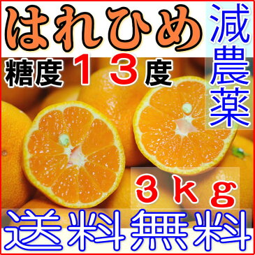 減農薬 訳あり はれひめ 愛媛 約 3kg サイズ混合 愛媛 みかん 愛媛みかん 産地直送 ore