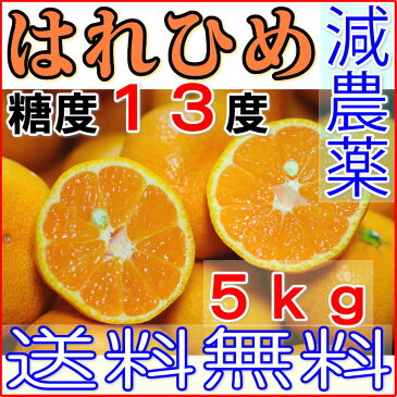 減農薬 訳あり はれひめ 愛媛 約 5kg サイズ混合 愛媛 みかん 愛媛みかん 産地直送 ore