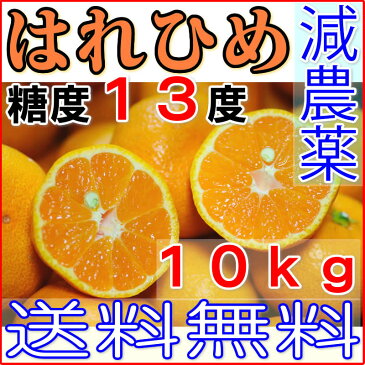 減農薬 訳あり はれひめ 愛媛 約 10kg サイズ混合 愛媛 みかん 愛媛みかん 産地直送 ore