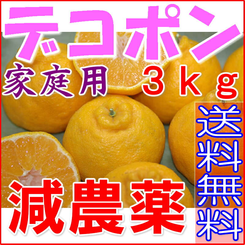 訳あり 最高糖度15度 愛媛 減農薬 デコポン 小玉 約3kg C品 サイズ混合 産地直送 ore 大三島 NN でこぽん