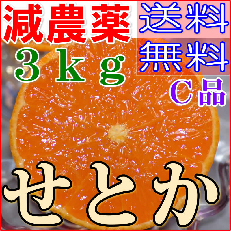 訳あり 減農薬 愛媛 せとか みかん 約3kg C品 サイズ混合 産地直送 ore 大三島 NN