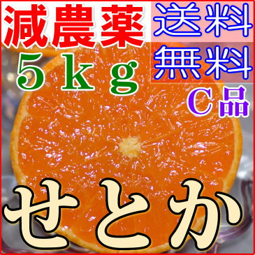 訳あり 減農薬 愛媛 せとか みかん 約5kg C品 サイズ混合 産地直送 ore 大三島 SSS 3t