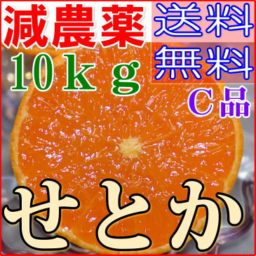 訳あり 減農薬 愛媛 せとか みかん 約10kg C品 サイズ混合 産地直送 ore 大三島 NG 3t