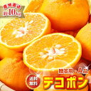 2026年3月分予約 最高糖度15度 愛媛 減農薬 デコポン 約10kg A品 サイズ混合 産地直送 大三島 でこぽん NN ※ ふるさと納税 ではありません