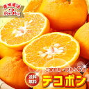 2026年3月分予約 最高糖度15度 訳あり 愛媛 減農薬 デコポン 小玉 約3kg C品 サイズ混合 産地直送 大三島 でこぽん NN ※ ふるさと納税 ではありません