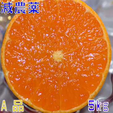 減農薬 愛媛 せとか みかん 約5kg 贈答用 サイズ混合 産地直送 ore 大三島 SSS 3t