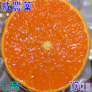 訳あり 減農薬 愛媛 せとか みかん 約10kg B品 サイズ混合 産地直送 ore 大三島 NN