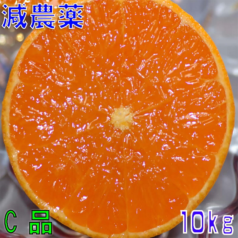 訳あり 減農薬 愛媛 せとか みかん 約10kg C品 サイ