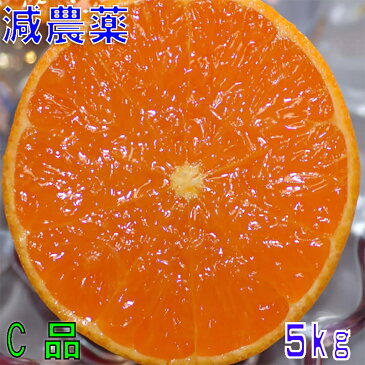 訳あり 減農薬 愛媛 せとか みかん 約5kg C品 サイズ混合 産地直送 ore 大三島 SSS 3t