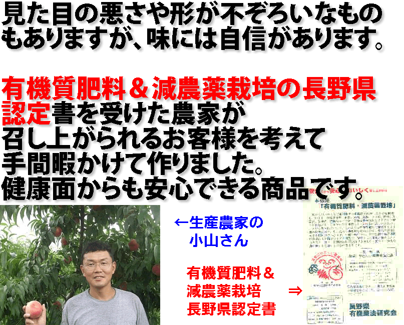 糖度13〜15度 桃 減農薬 訳あり 約2.8kg 9〜12玉入 品種お任せ 川中島白桃 長野産 産地直送 SSS