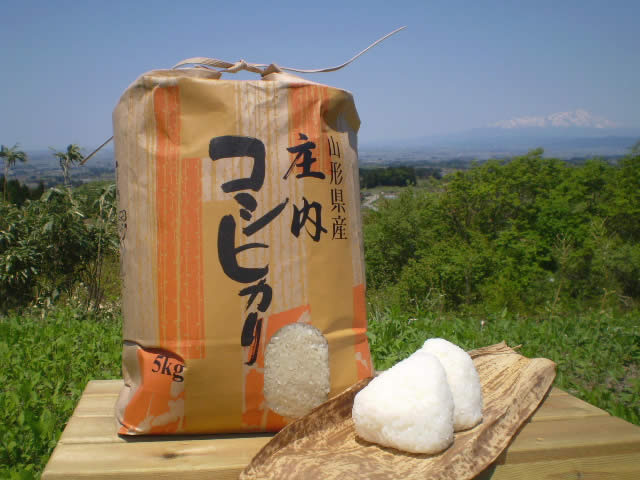 新米 産地直送 全額返金保証 山形産 コシヒカリ 白米/玄米 5kg こしひかり 庄内米 S10