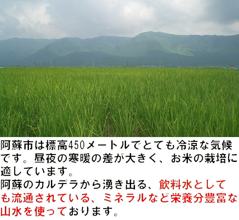 【全額返金】 熊本産 無農薬 てんこもり 2kg 白米 米 テンコモリ 2キロ 新米 有機栽培米 合鴨農法米 ※ ふるさと納税 ではありません NN f808-10002956 はちまるはち お中元 お歳暮 サンプル画像3