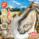 2026年分予約 宮城県 生食用 生 牡蠣 むき身 500g カキ 鳴瀬 牡蠣 産地直送 ※ ふるさと納税 ではありません SSS